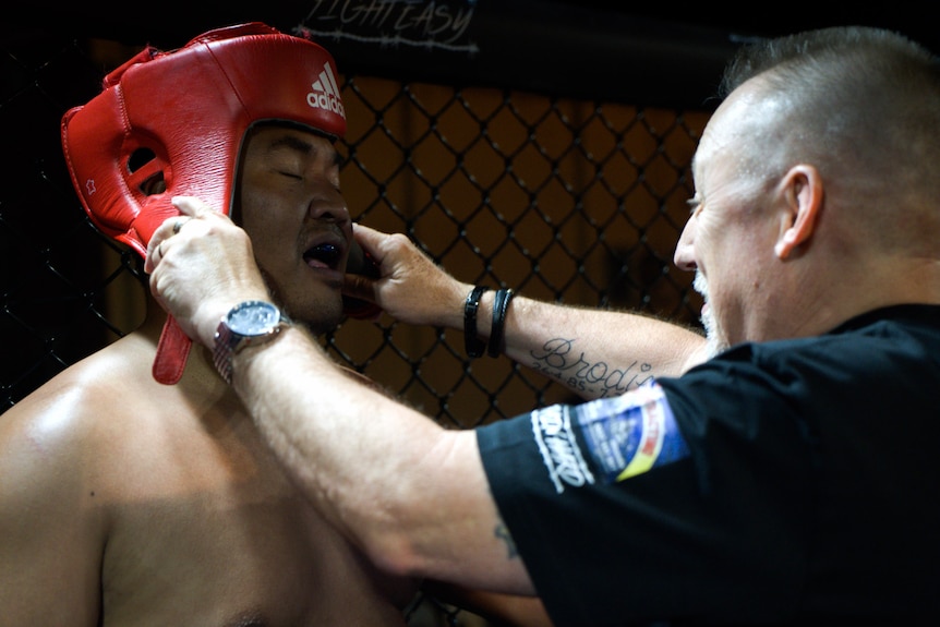 Coach adjusts helmet of fighter in boxing ring during break 