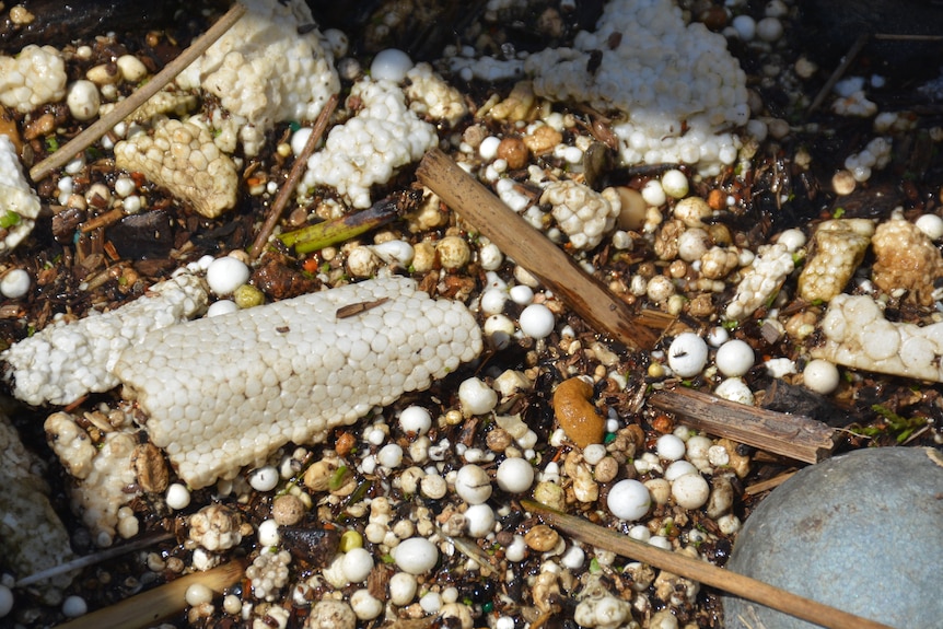 A close up picture of polystyrene waste pieces, with sticks and other debris.
