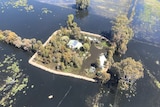 An aerial shot of a small house completely surrounded by water