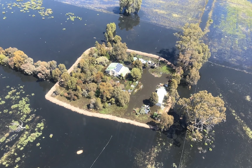 An aerial shot of a small house completely surrounded by water