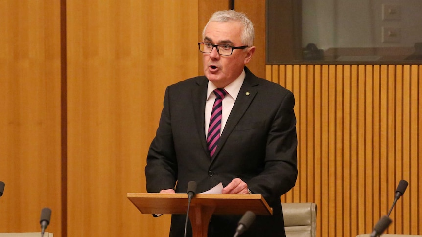 Andrew Wilkie resting on a lectern as he addresses the Federation Chamber. He's wearing a pink and navy striped tie.