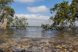 Fullerton Cove at Williamtown, in the contamination zone.