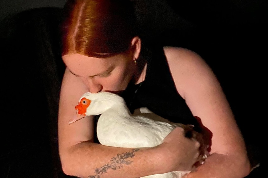 Young woman holds a white duck in her arms, and looks at her