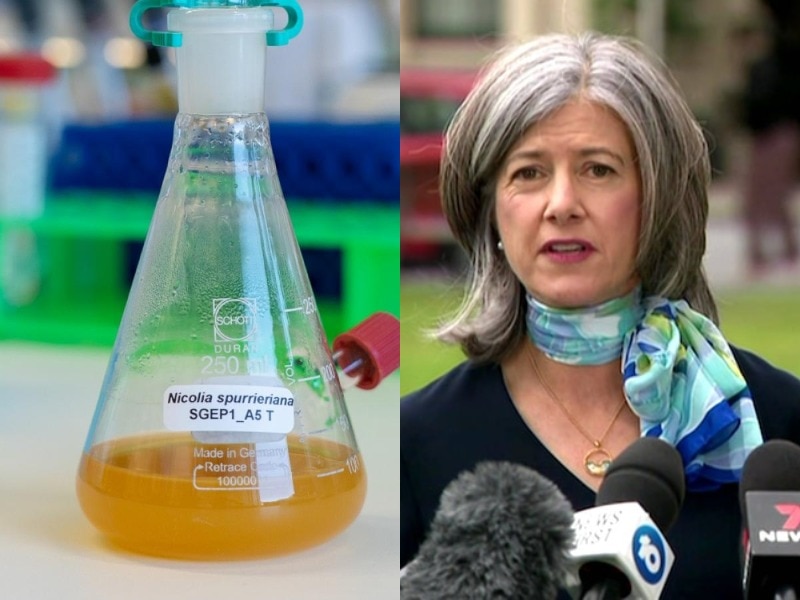 A composite image of a beaker of orange liquid and a woman with grey hair