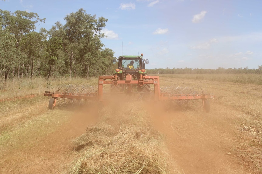 a tractor raking hay with dust