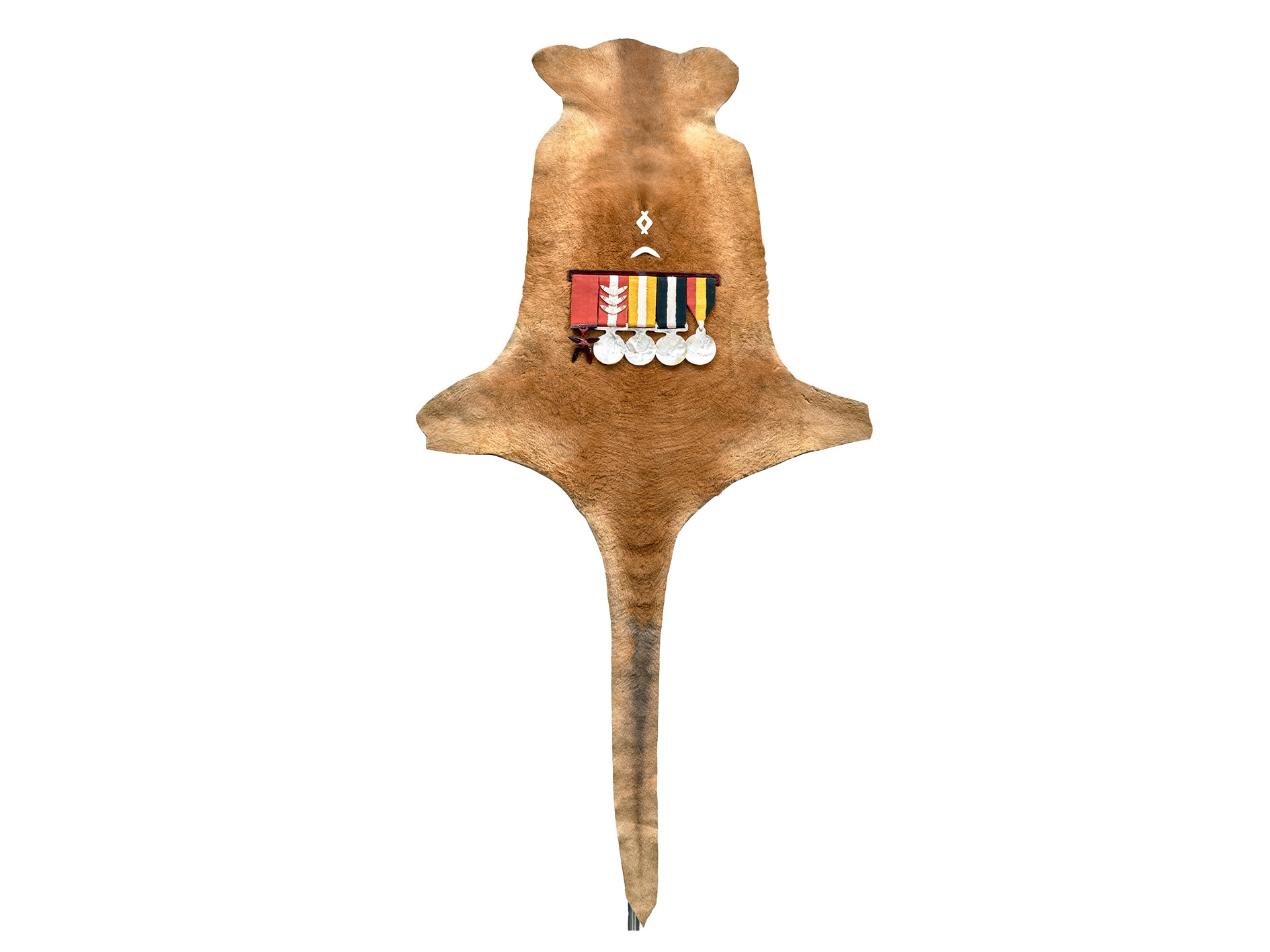 Kangaroo skin sculpture honouring 'every survival story' wins Defence art prize