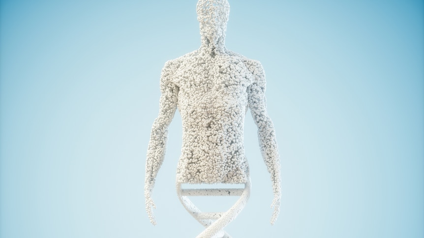 Abstract model human of DNA molecules