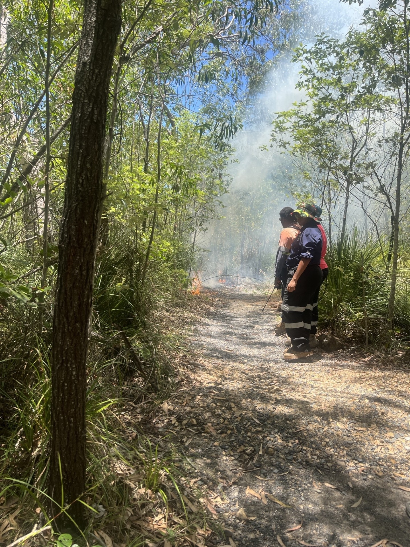 'Sleeping' Indigenous burning technique awakens in Cape Hillsborough