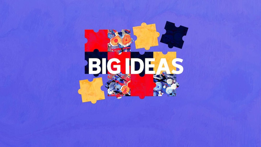 Big Ideas logo featuring jigsaw pieces