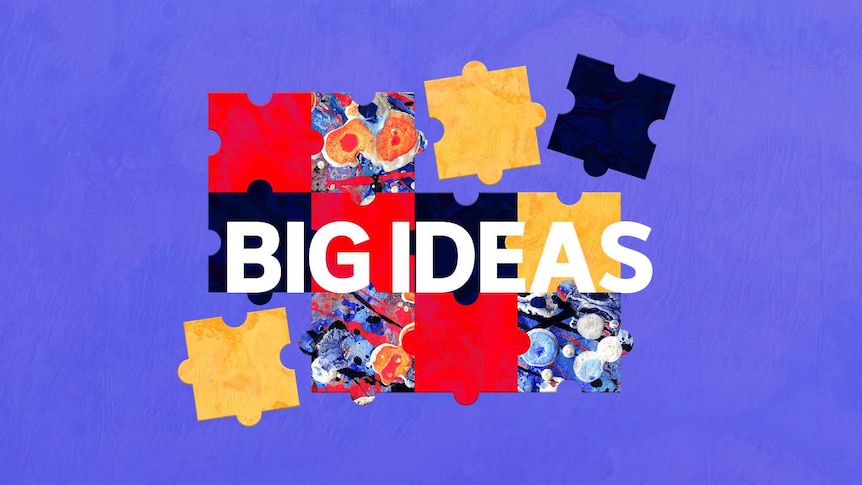 Big Ideas logo featuring jigsaw pieces