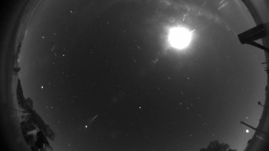 SpaceX's Starlink satellites spotted from Wisconsin
