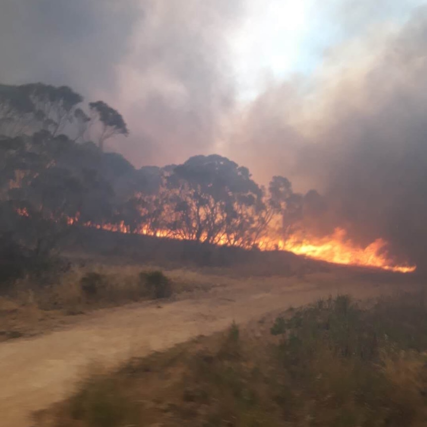 Flames and smoke are visible among the trees.