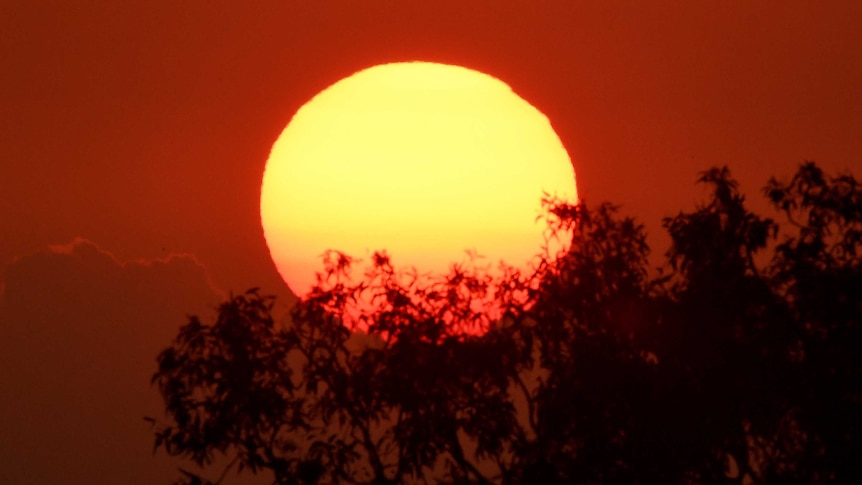 A bright sun set against a fire-red sky and trees in shadow