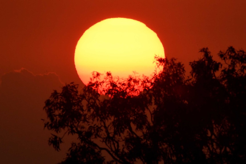 A bright sun set against a fire-red sky and trees in shadow