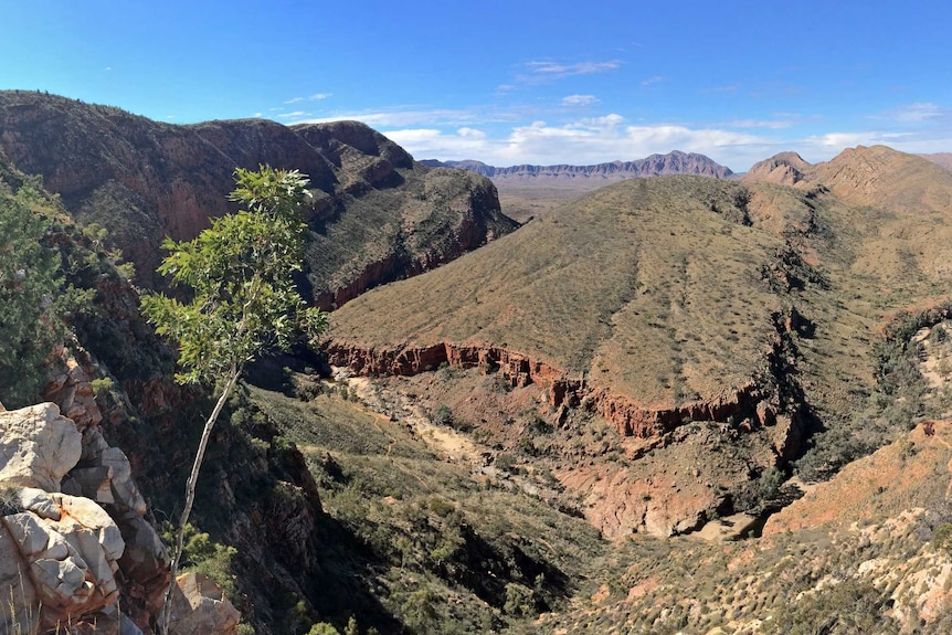 A view looking over the West MacDonnell National Park in Central Australia.