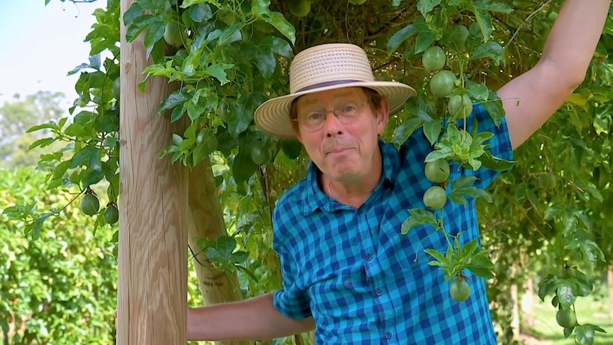 Jerry Coleby-Williams under a passionfruit vine