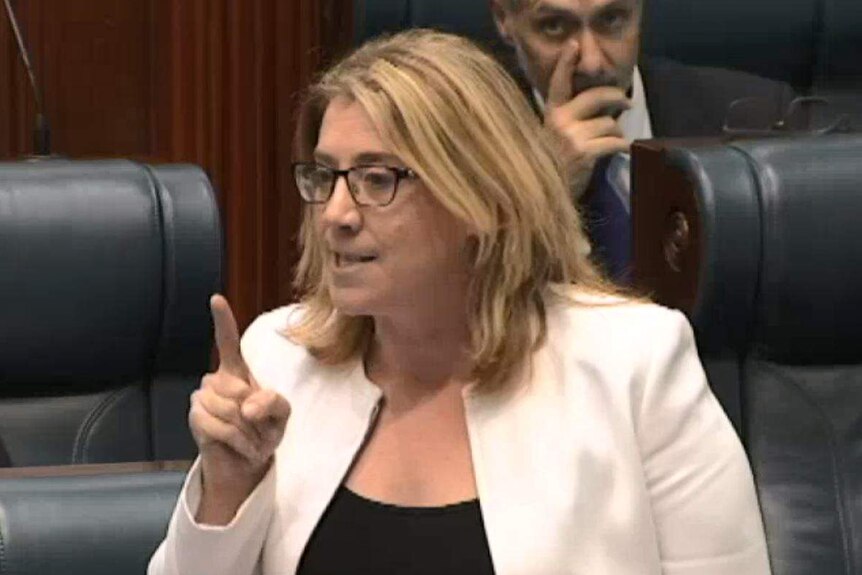 Rita Saffioti in glasses, a white jacket and a black top speaks in the Legislative Assembly while pointing a finger.