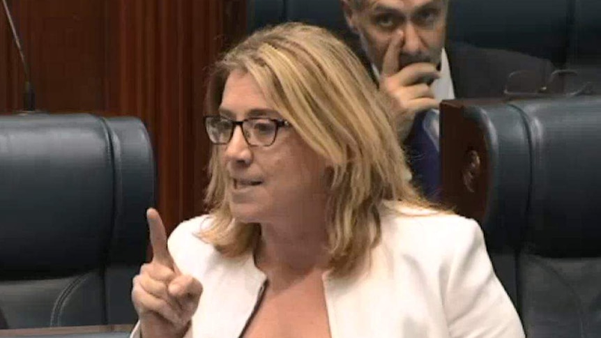 Rita Saffioti in glasses, a white jacket and a black top speaks in the Legislative Assembly while pointing a finger.