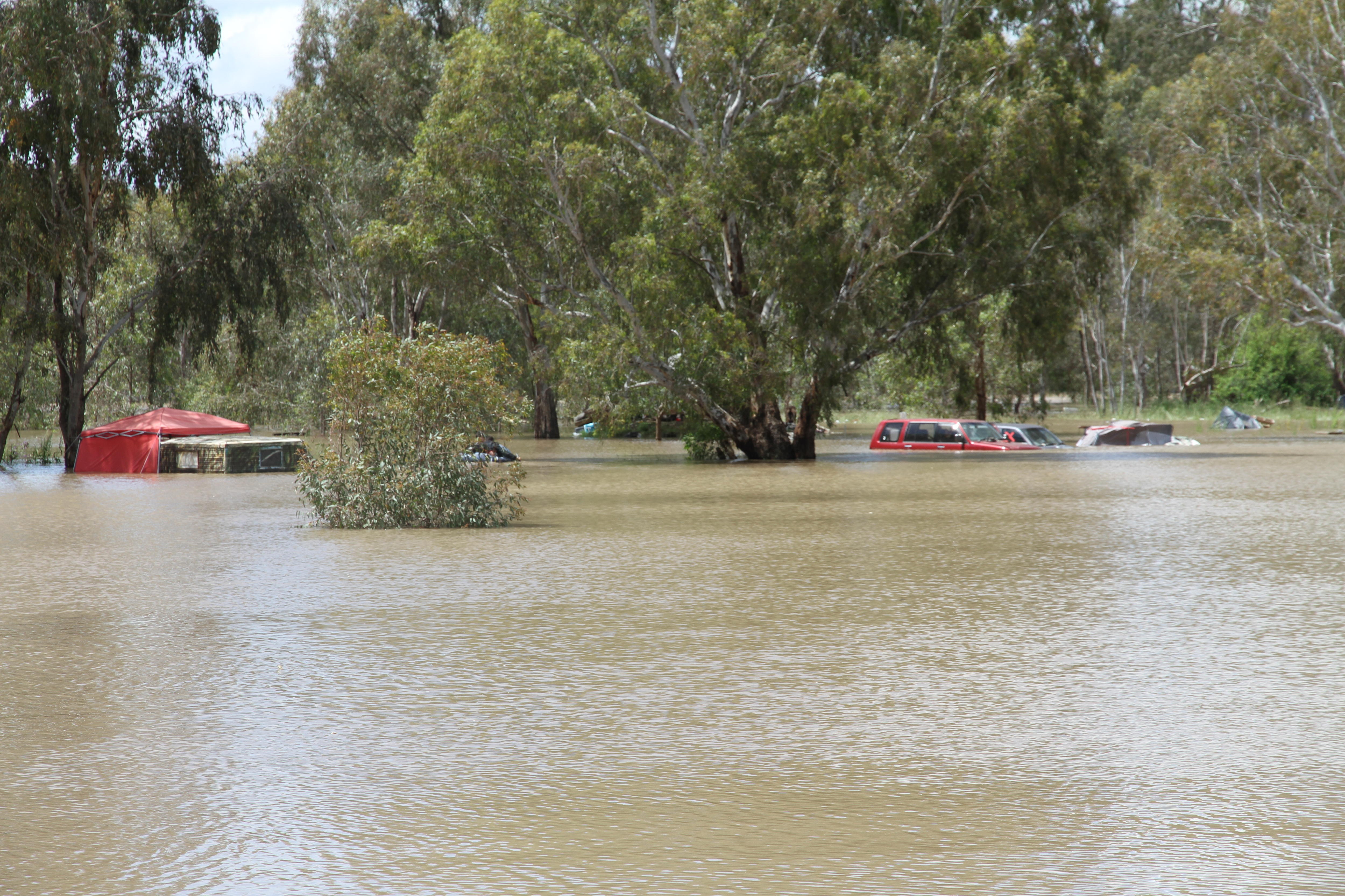 Wagga Wagga flooding continues, hundreds evacuated as Murrumbidgee peaks ABC News