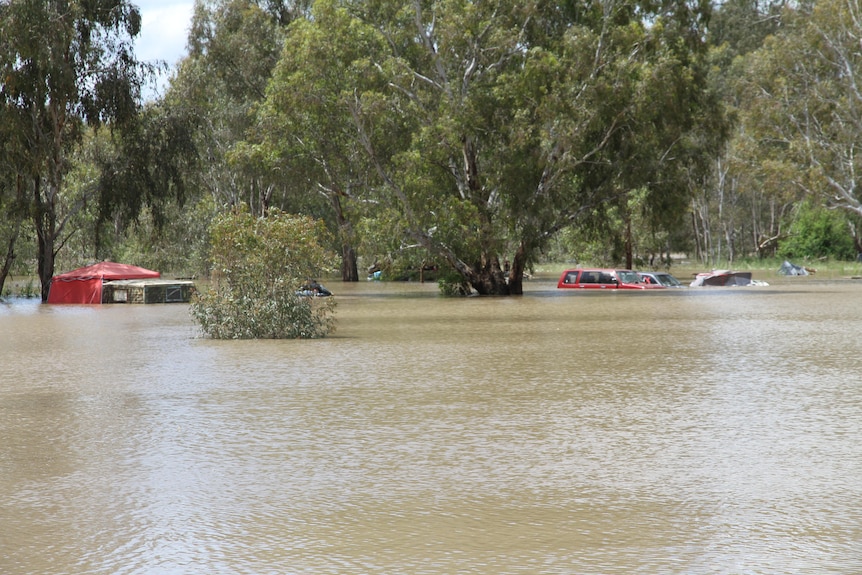 A tent and cars almost completely submerged in a flooded camping ground.