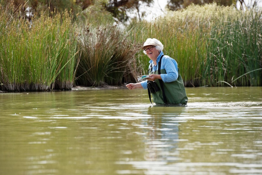 Jill Nickolls in wetland water wearing green waders, binnoculars around neck and book in hand. Reeds in background.