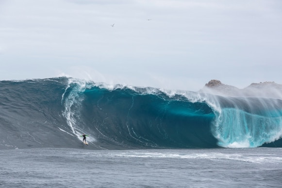 Surfer at Pedra Branca