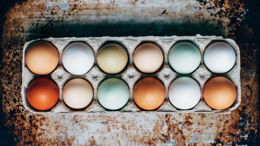 An egg carton with eggs of varying hues in it.