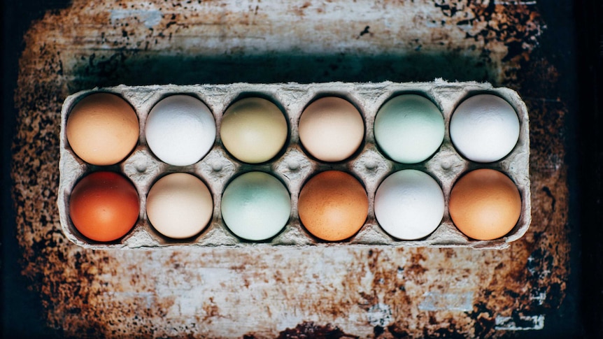 An egg carton with eggs of varying hues in it.