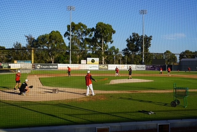 A group of players, wearing red, training on a baseball diamond with one throwing the ball.
