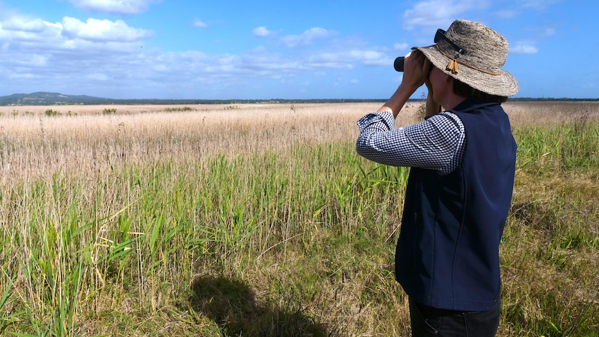 A woman looks through binoculars out onto the wetlands.