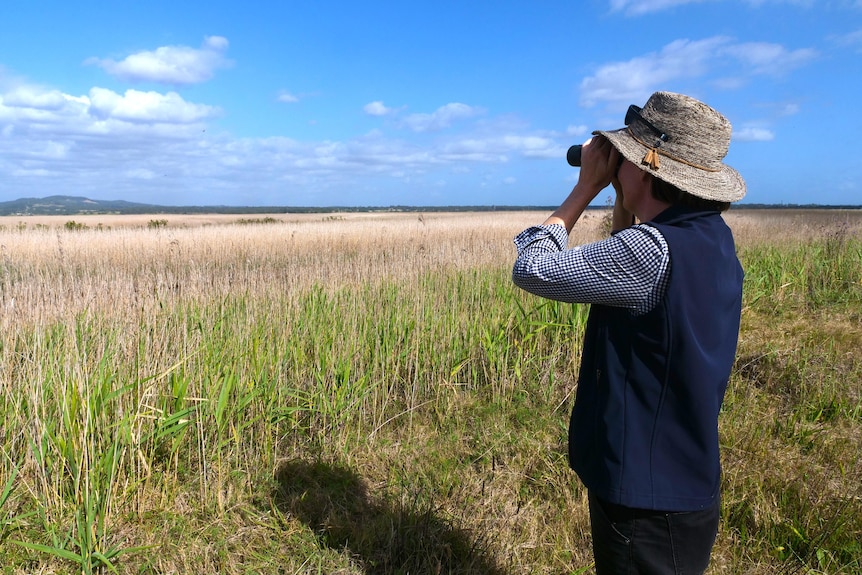 A woman looks through binoculars out onto the wetlands.
