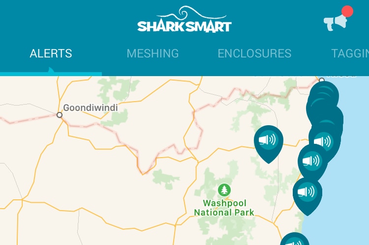 A shark phone app