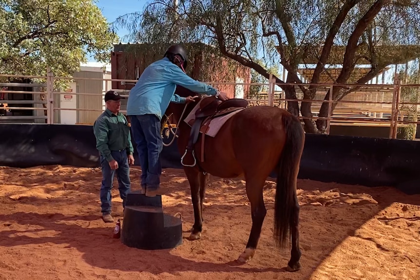 A boy in a blue shirt stands on a mount block in the middle of a round yard. He prepares to mount the horse before him.
