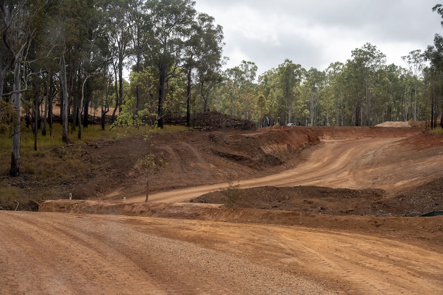 Wide roads cut into the forest at Kaban.