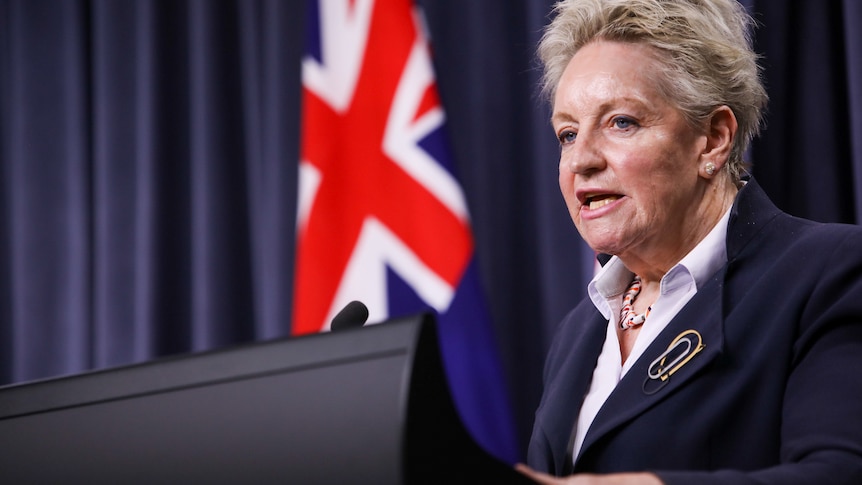 A woman speaks at a lectern.