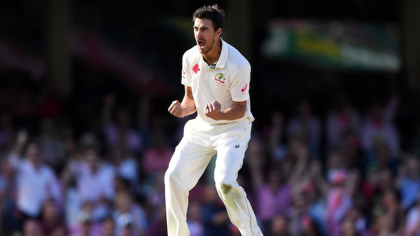 Mitchell Starc screams like he means it after taking a wicket