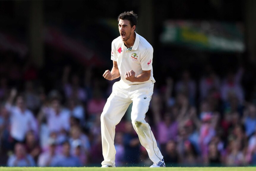 Mitchell Starc screams like he means it after taking a wicket