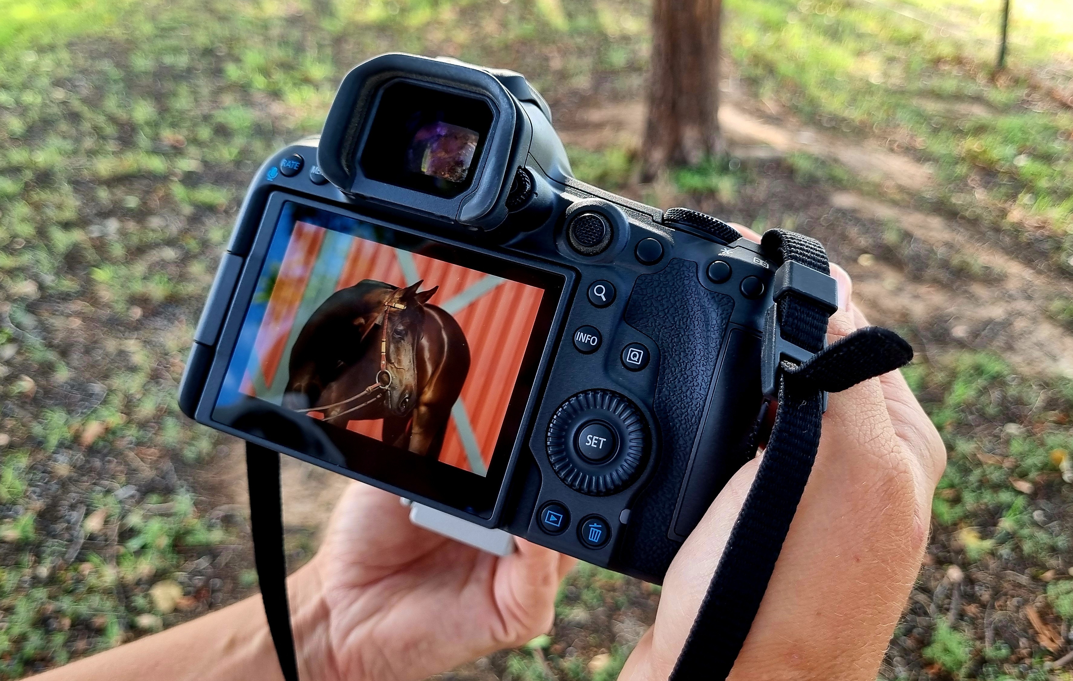 A camera is held in a pair of hands, with a still of a horse on the screen.