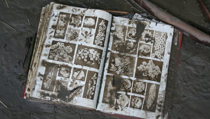 A book lies abandoned in river mud.