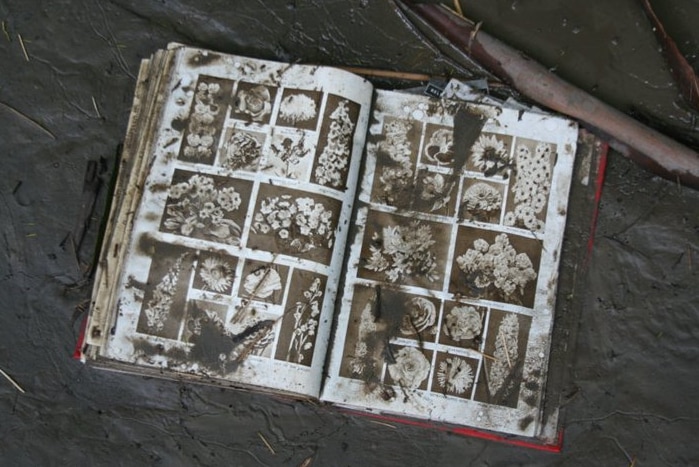 A book lies abandoned in river mud.
