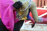 Bull gores matador in groin