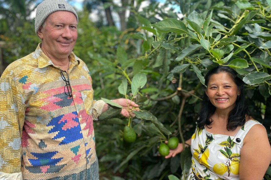 A man and woman standing in front of an avocado tree holding avocados.
