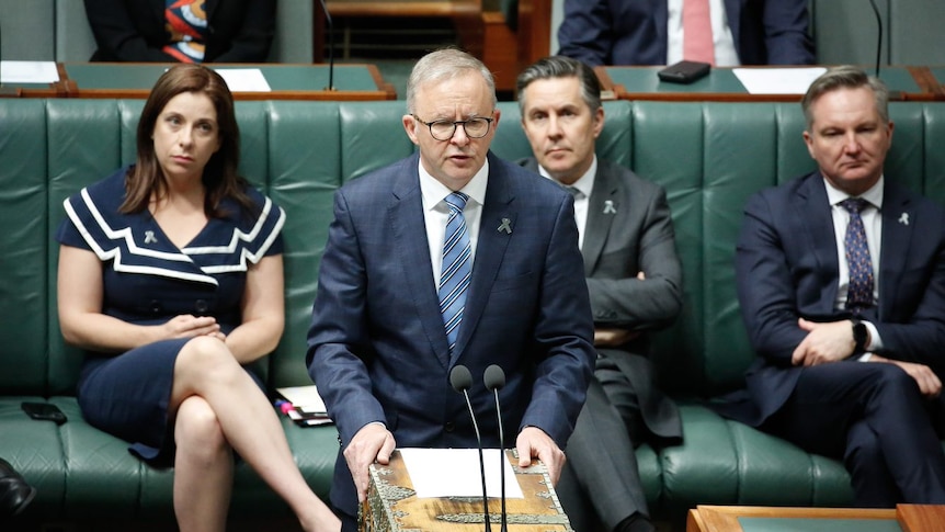 Prime Minister Anthony Albanese stands at the dispatch box wearing suit and tie speaking on his government's energy intervention