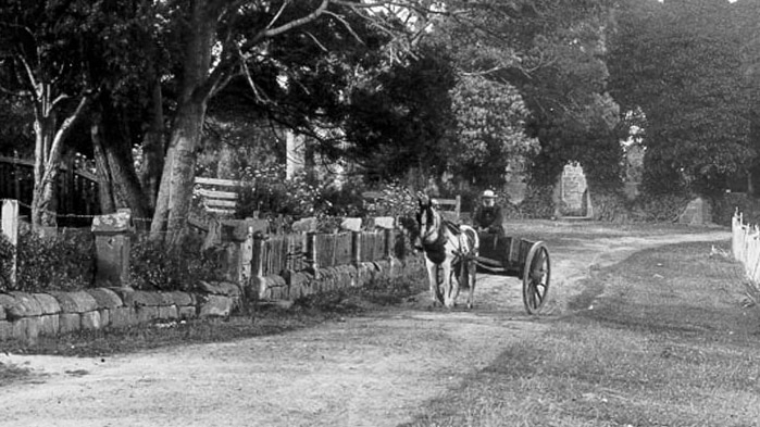 A horse pulling a carriage on a dirt road in front of the church at Port Arthur.