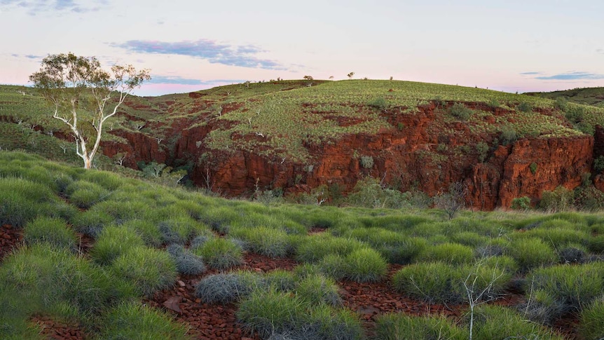 photo of spinifex covered hills