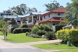 Modern houses along a street going up a hill in Brisbane