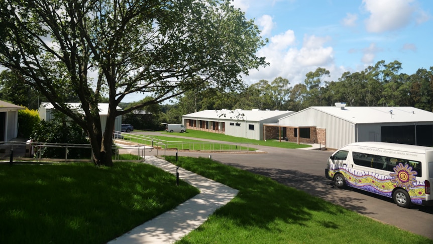 A large tree, building and van with aboriginal prints on it are in the photo