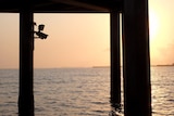 A camera on a wharf silhouetted in the dying light of sunset