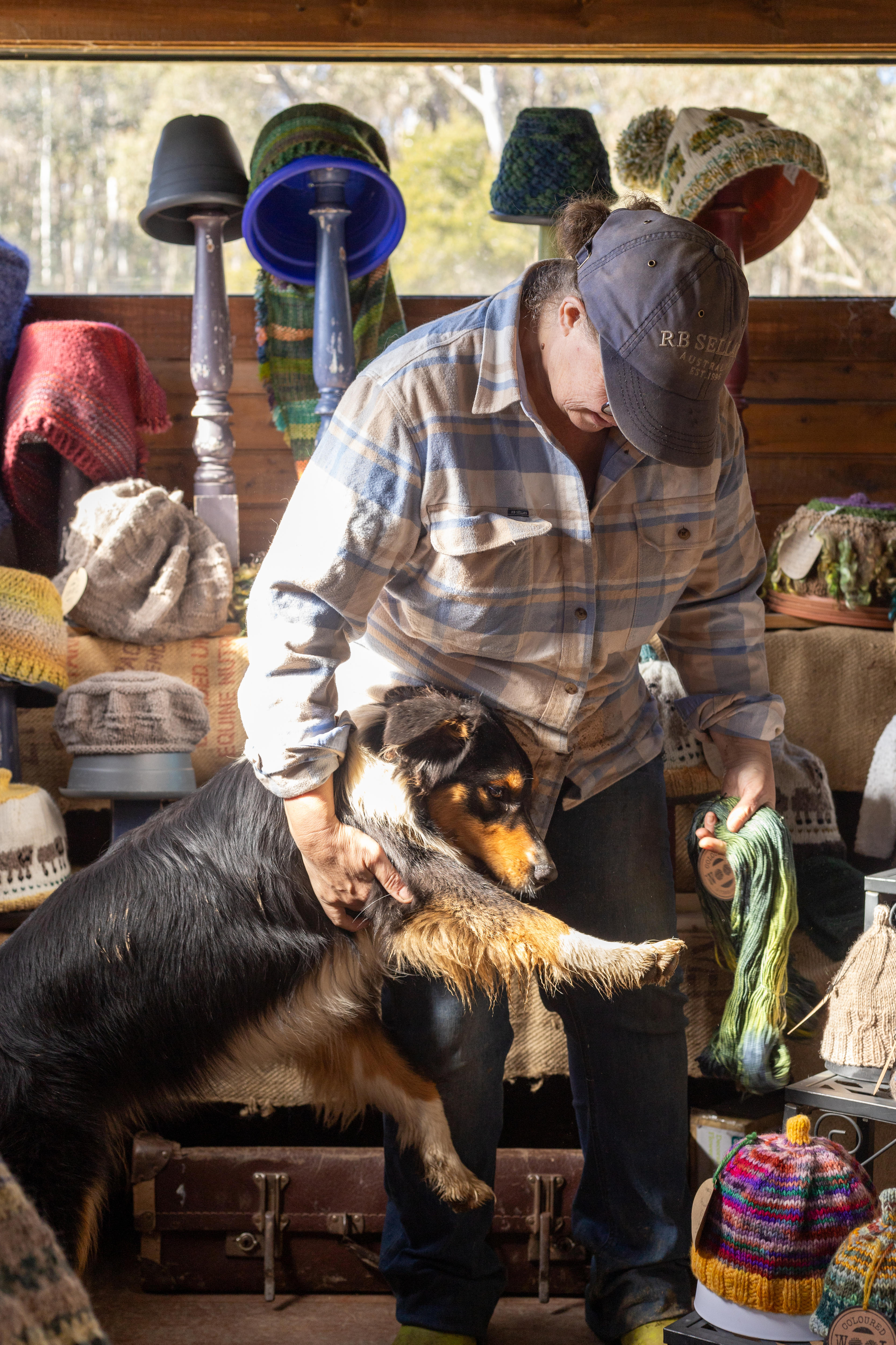 A dog is being held back from jumping 