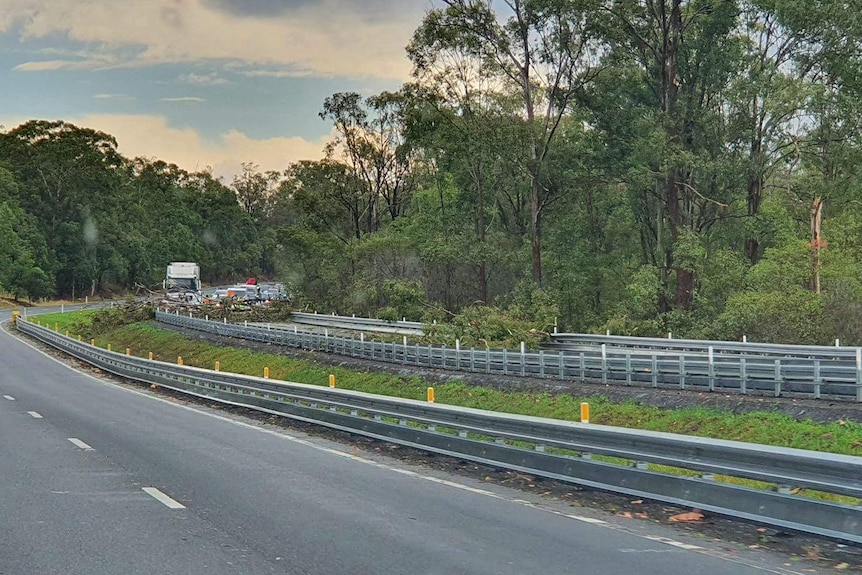 A queue of vehicles sits behind trees and branches that have fallen across a two-lane highway